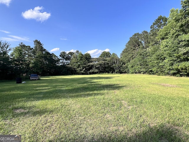 542 Southern Pines Rd, Dublin, GA 31021 - view of green lawn