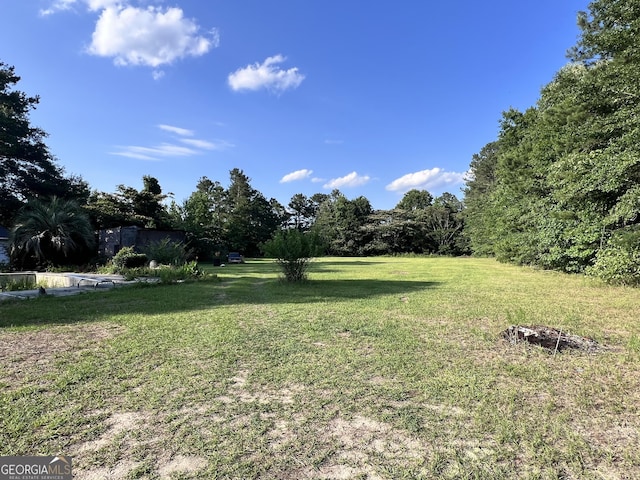 542 Southern Pines Rd, Dublin, GA 31021 - view of green lawn