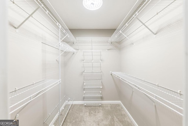 4407 Jones Rd, Macon, GA 31216 - spacious closet with carpet floors