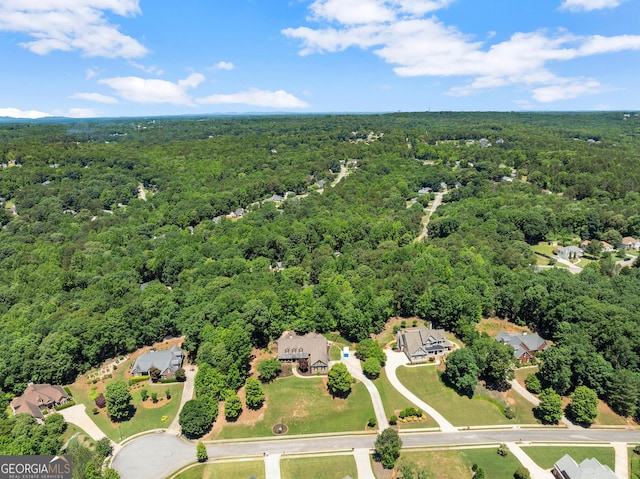 5176 Glen Forrest Dr, Flowery Branch, GA 30542 - aerial view of a heavily wooded area