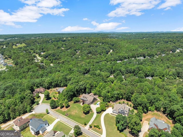5176 Glen Forrest Dr, Flowery Branch, GA 30542 - aerial view of a forest