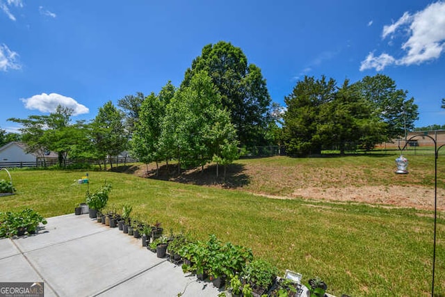 132 Fairview Meadows Dr, Demorest, GA 30535 - view of yard