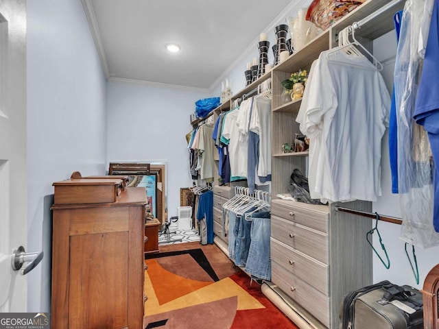 103 Crowley Dr, Calhoun, GA 30701 - view of walk in closet