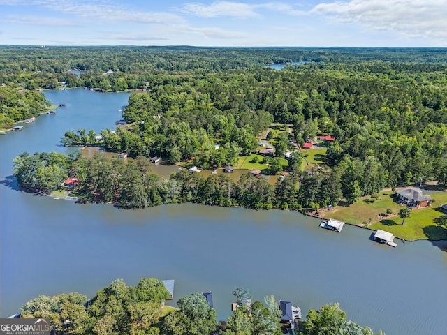 158 Montego Bay Rd NW, Milledgeville, GA 31061 - aerial view of a forest and a large body of water