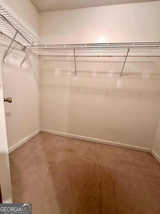3793 SW Mays Ct SW, Atlanta, GA 30331 - view of spacious closet