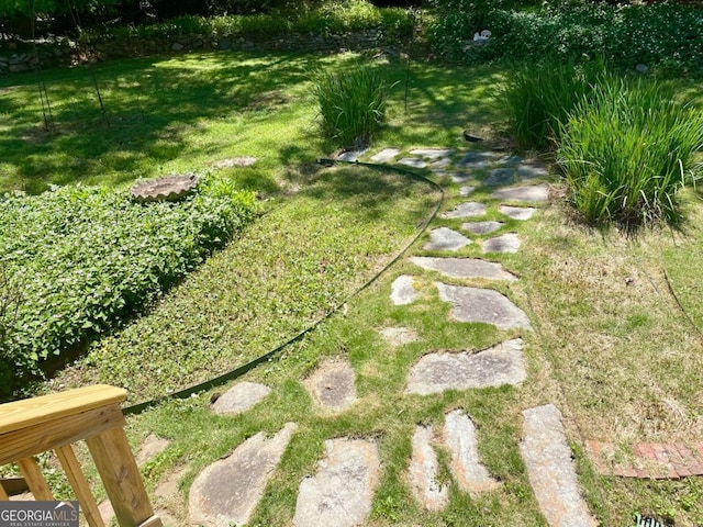 1028 Gate Post Ln, Lawrenceville, GA 30044 - view of green lawn