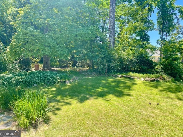 1028 Gate Post Ln, Lawrenceville, GA 30044 - view of green lawn