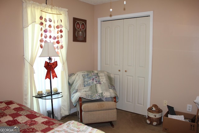 239 Ferguson Ave, Locust Grove, GA 30248 - carpeted bedroom with a closet