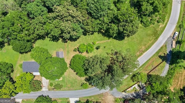 444 Polk Ln, Dallas, GA 30132 - view of property location