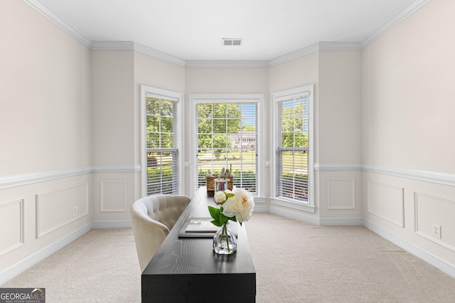 125 Lake Park Dr, Sharpsburg, GA 30277 - office space featuring carpet floors, ornamental molding, a wainscoted wall, and a decorative wall