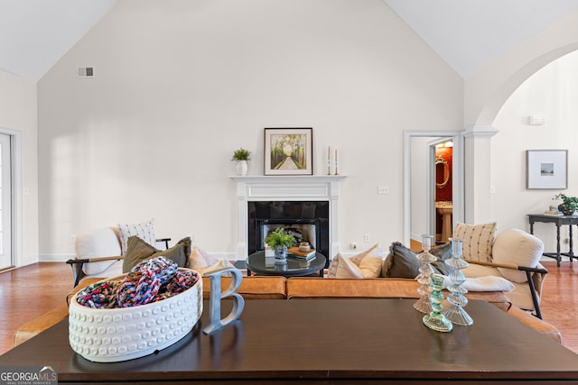 125 Lake Park Dr, Sharpsburg, GA 30277 - living room featuring high vaulted ceiling, wood finished floors, arched walkways, and a tile fireplace