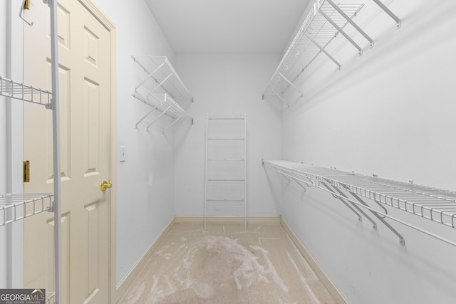 125 Lake Park Dr, Sharpsburg, GA 30277 - walk in closet with light carpet