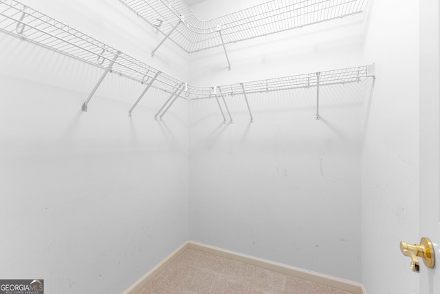 125 Lake Park Dr, Sharpsburg, GA 30277 - spacious closet with carpet floors