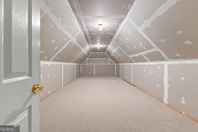 125 Lake Park Dr, Sharpsburg, GA 30277 - additional living space featuring lofted ceiling and carpet flooring