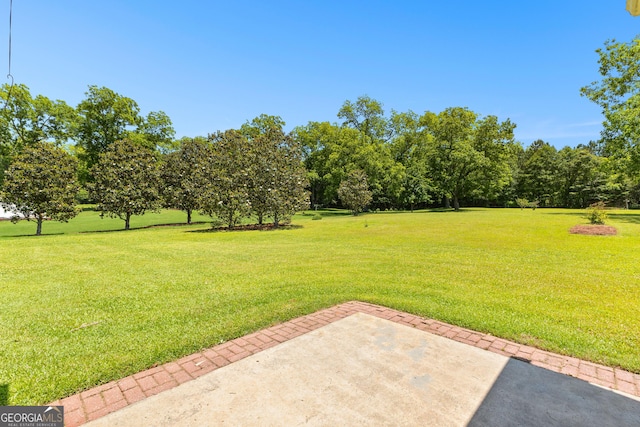 125 Lake Park Dr, Sharpsburg, GA 30277 - view of green lawn featuring a patio