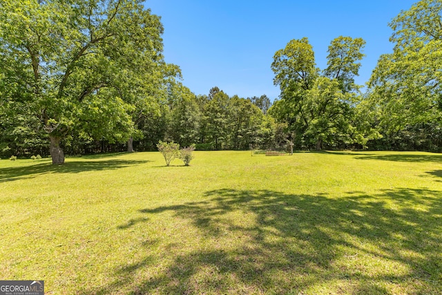 125 Lake Park Dr, Sharpsburg, GA 30277 - view of green lawn