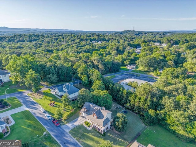 211 Westwood Dr, Calhoun, GA 30701 - bird's eye view of a heavily wooded area