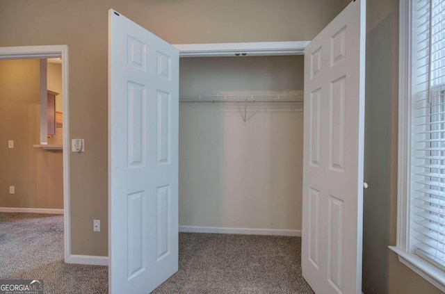 580 Camry Cir, Dallas, GA 30157 - view of closet