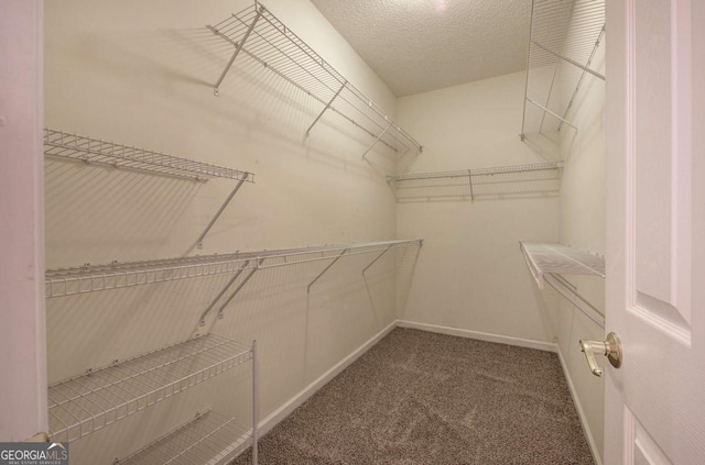 580 Camry Cir, Dallas, GA 30157 - walk in closet with carpet flooring