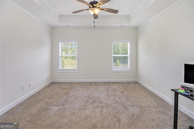461 Barnwood, Rockmart, GA 30153 - unfurnished room with a tray ceiling, carpet floors, and ornamental molding
