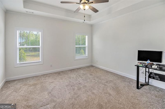 461 Barnwood, Rockmart, GA 30153 - unfurnished office with crown molding, a tray ceiling, plenty of natural light, and carpet floors