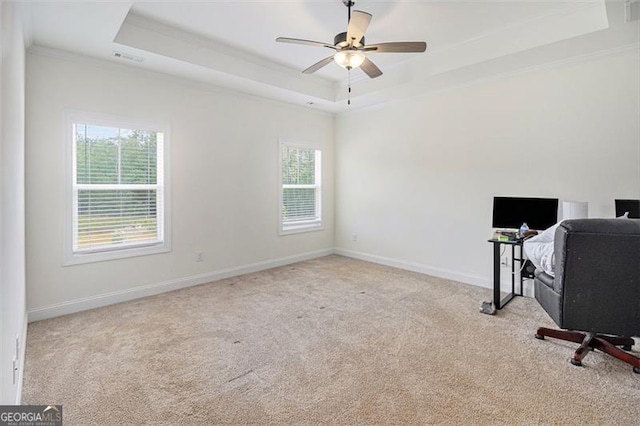 461 Barnwood, Rockmart, GA 30153 - unfurnished office with ornamental molding, a raised ceiling, carpet, ceiling fan, and baseboards