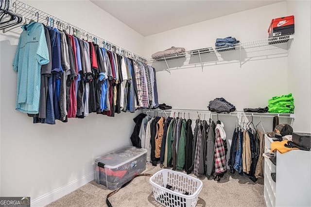 461 Barnwood, Rockmart, GA 30153 - walk in closet featuring carpet floors