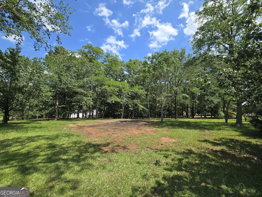 373 Plentitude Church Rd, Gray, GA 31032