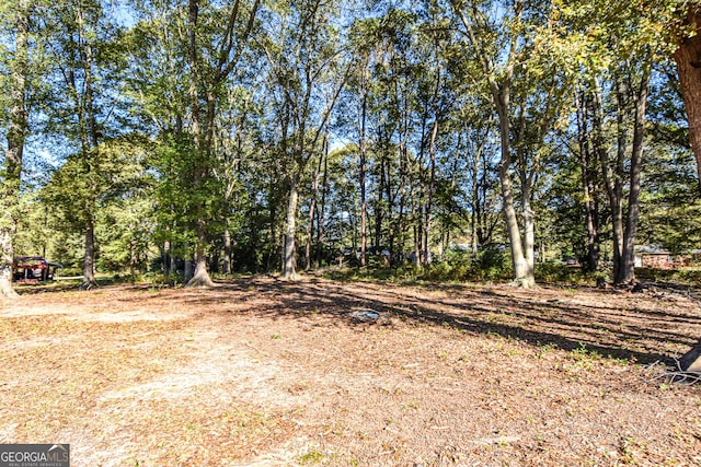 246 Shiloh Rd, Jenkinsburg, GA 30234 - view of yard