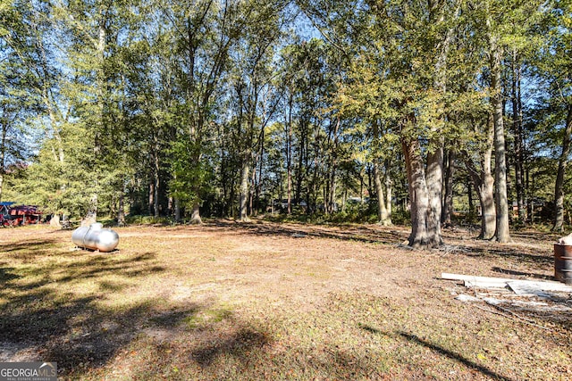 246 Shiloh Rd, Jenkinsburg, GA 30234 - view of yard