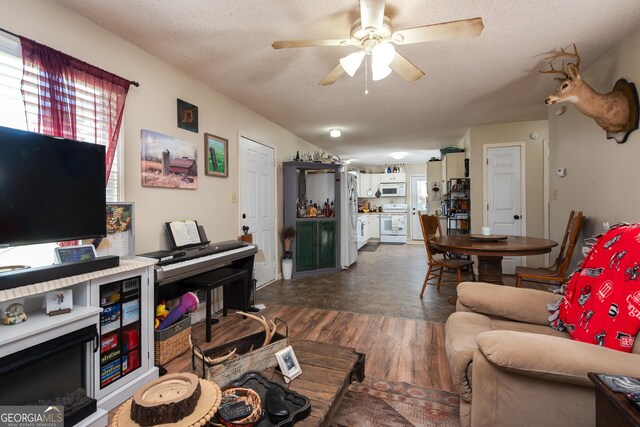 35 Good Hope Rd, Colbert, GA 30628 - living area with a ceiling fan, a textured ceiling, and dark wood-style floors