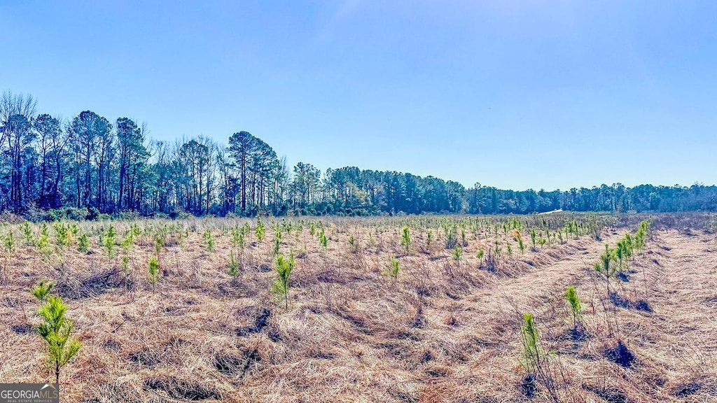 0 Rl Lee Rd Unit 8, Statesboro, GA 30461