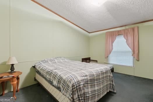 4369 River Rd, Folkston, GA 31537 - bedroom featuring a textured ceiling, carpet flooring, and lofted ceiling