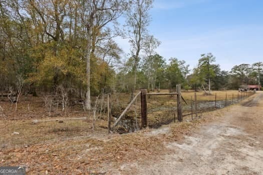 4369 River Rd, Folkston, GA 31537 - view of dirt / gravel road