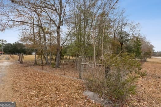 4369 River Rd, Folkston, GA 31537 - view of undeveloped land