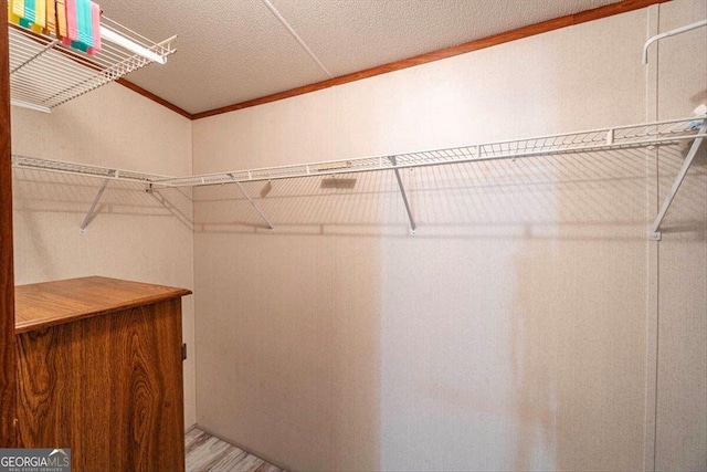 3350 Waggoners Grove Church Rd, Colbert, GA 30628 - view of spacious closet