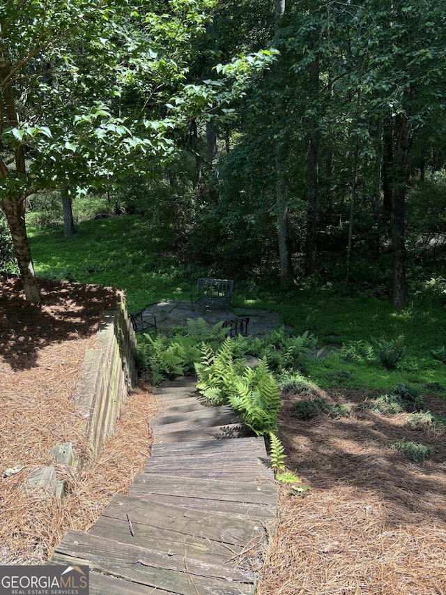 245 River Laurel Way, Woodstock, GA 30188 - view of home's community