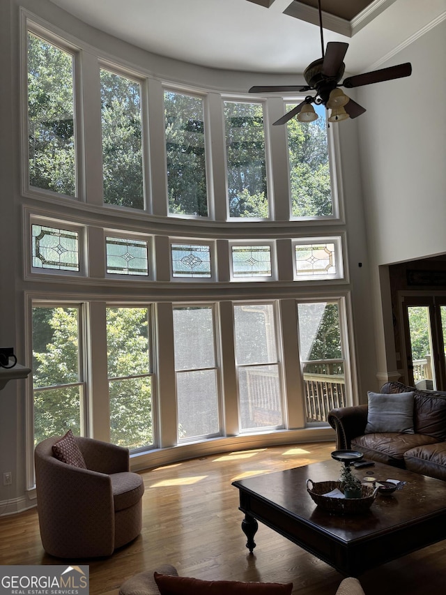 245 River Laurel Way, Woodstock, GA 30188 - living area with a high ceiling, ornamental molding, wood finished floors, and a ceiling fan