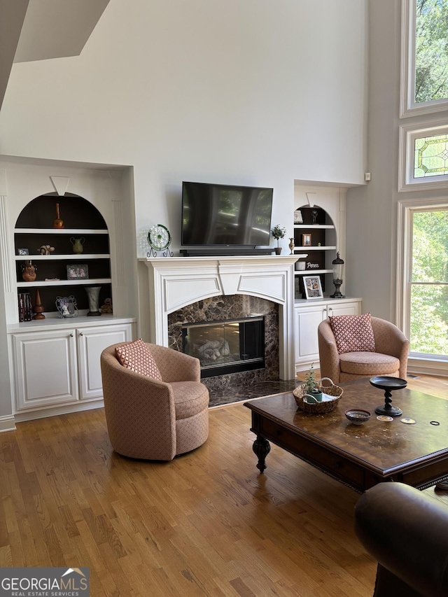 245 River Laurel Way, Woodstock, GA 30188 - living room with high vaulted ceiling, built in features, wood finished floors, and a premium fireplace