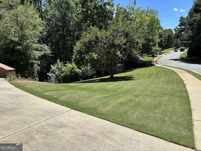 245 River Laurel Way, Woodstock, GA 30188 - view of green lawn with view of scattered trees