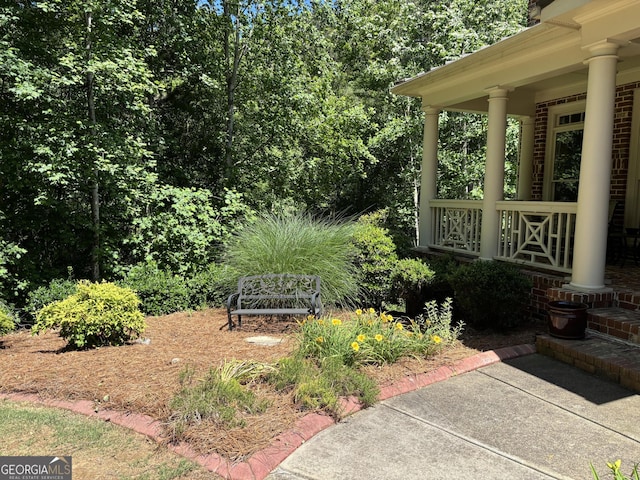 245 River Laurel Way, Woodstock, GA 30188 - view of yard with covered porch