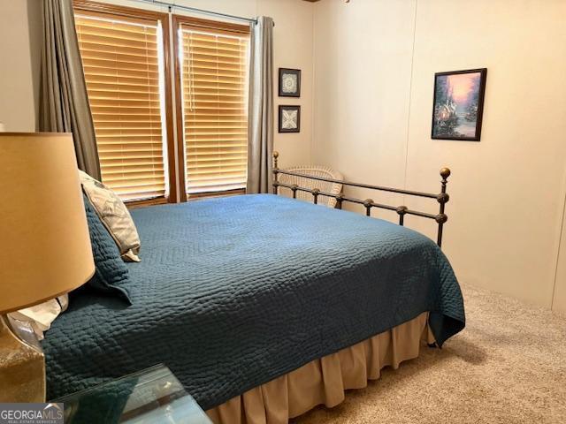210 Vineyard Rd, Thomaston, GA 30286 - view of carpeted bedroom