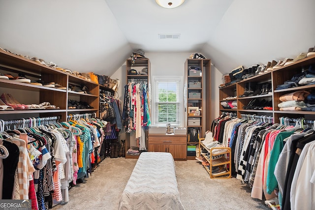 960 Pebblestone Ct, Alpharetta, GA 30009 - walk in closet with carpet and vaulted ceiling