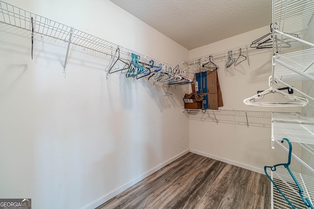 123 Chippewa Run, Auburn, GA 30011 - walk in closet with wood finished floors