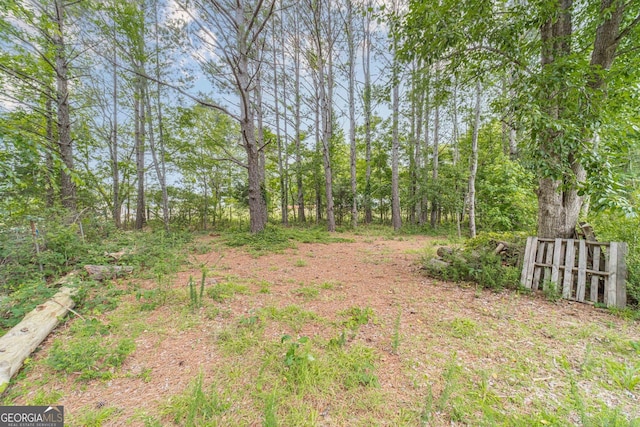 123 Chippewa Run, Auburn, GA 30011 - view of yard