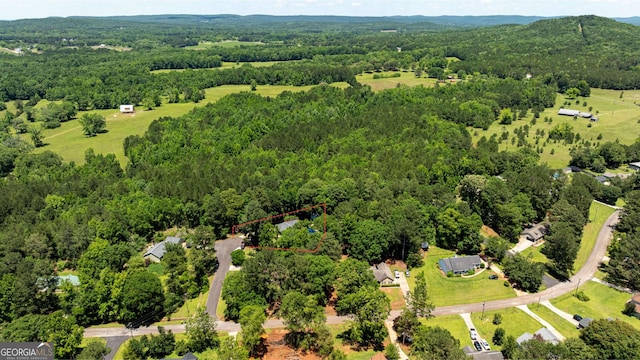 102 Fern Way, Thomaston, GA 30286 - bird's eye view of a forest