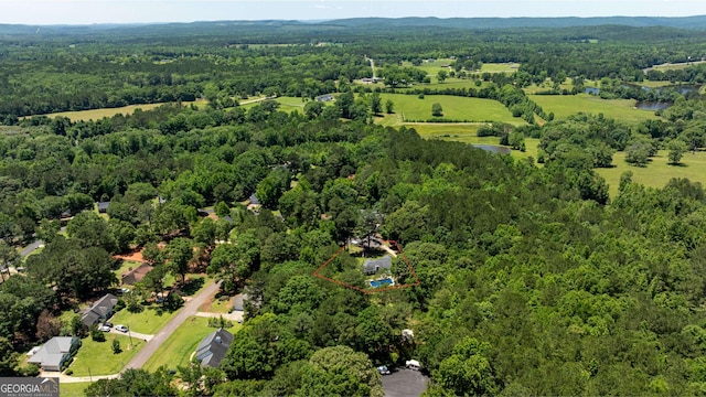 102 Fern Way, Thomaston, GA 30286 - aerial overview of property's location featuring a forest and property boundaries highlighted
