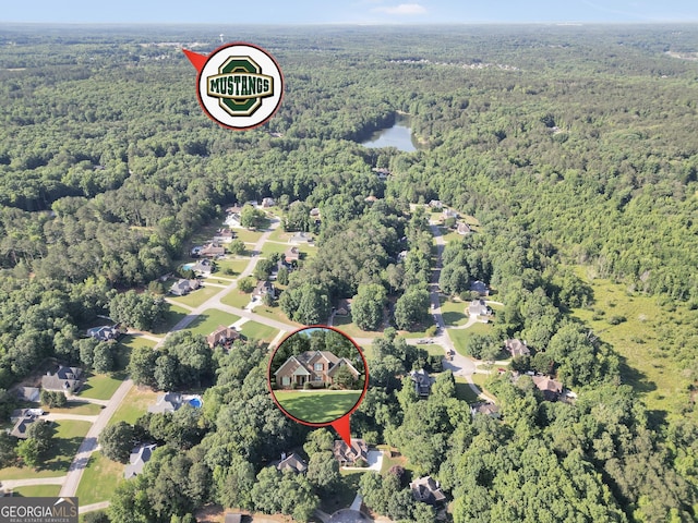 1315 Crane Ct, Mcdonough, GA 30252 - aerial view of property's location featuring a heavily wooded area
