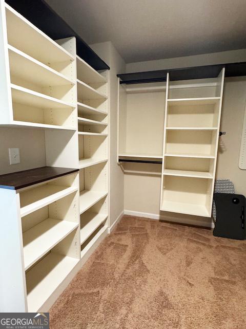 1869 Schofield Dr, Hampton, GA 30228 - walk in closet featuring carpet