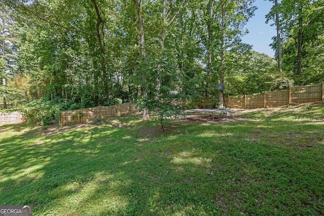 4110 Belvedere Dr, Gainesville, GA 30506 - view of yard